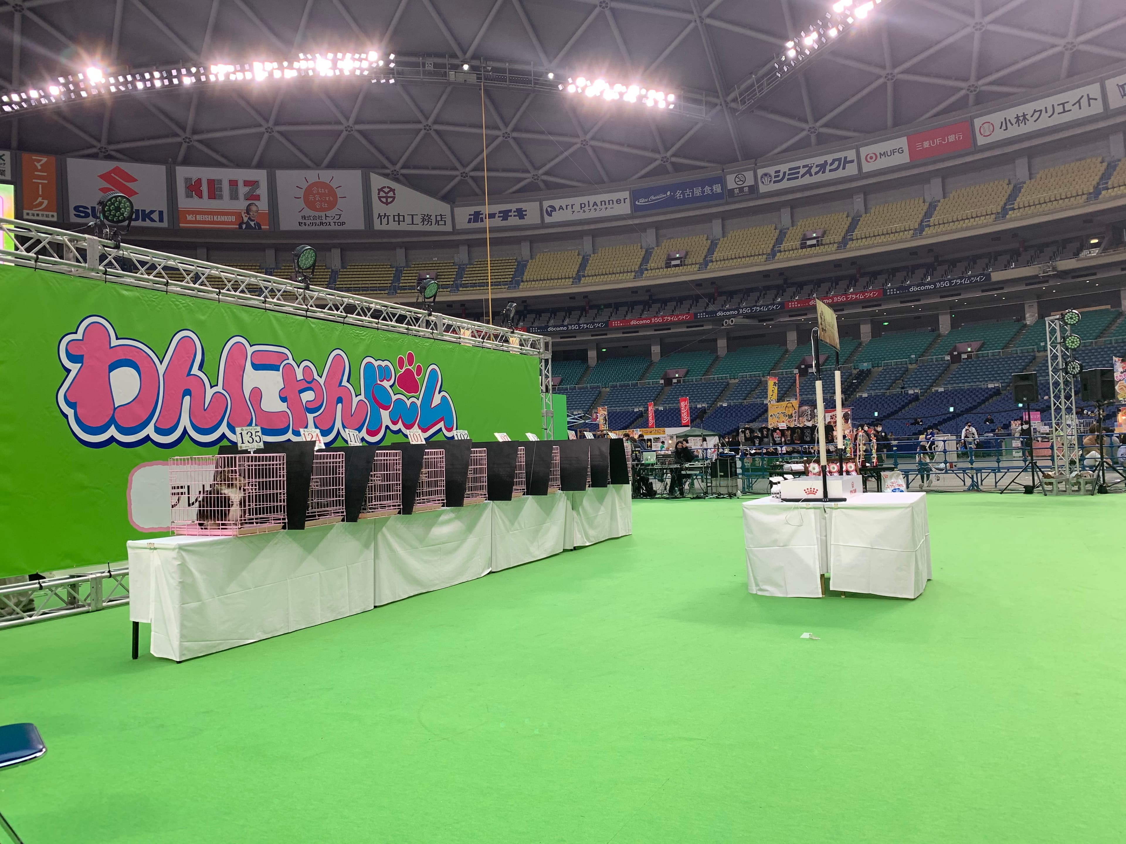 ワンニャンドームの中央ステージでベスト10発表